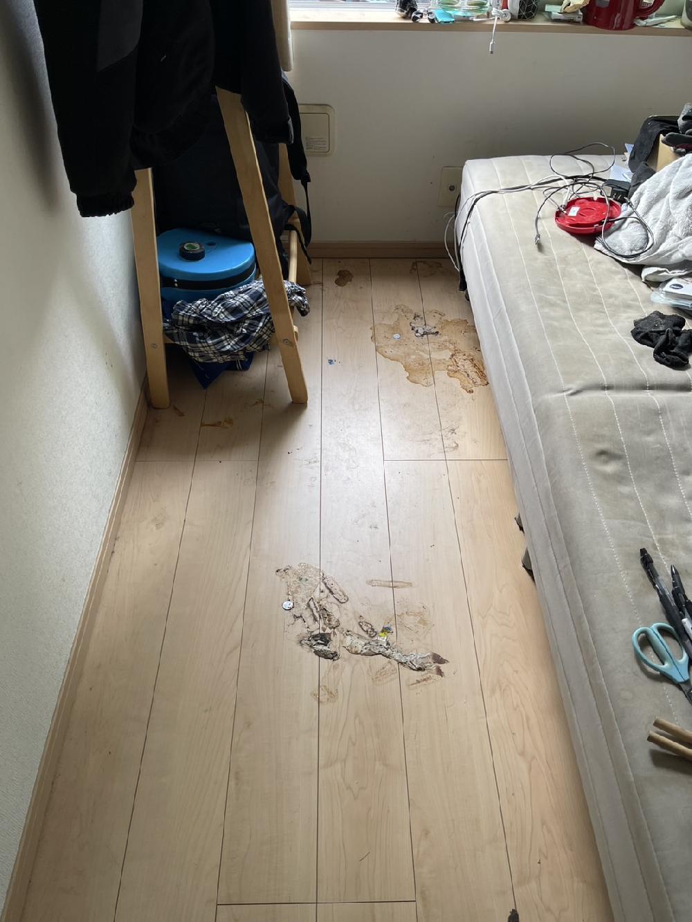 【豊島区でゴミ屋敷、汚部屋の片付け作業】一括見積もり比較サイトから最大3社の中からご依頼をいただきました!