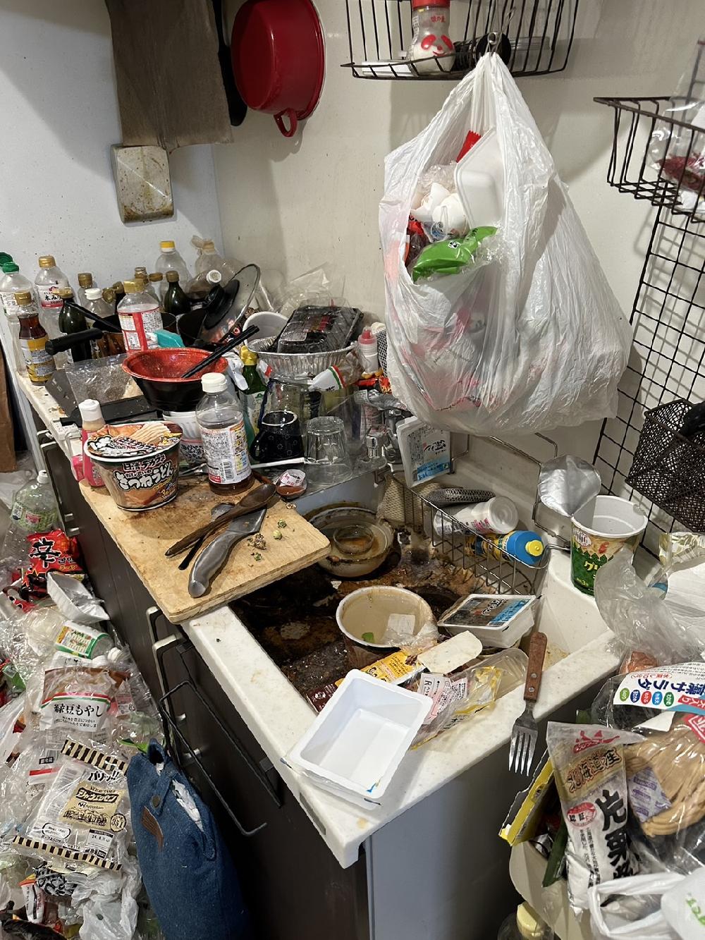 【東京都港区】1LDKのゴミ屋敷片付け　生ゴミの分別や生活ゴミの撤去を6時間で完了