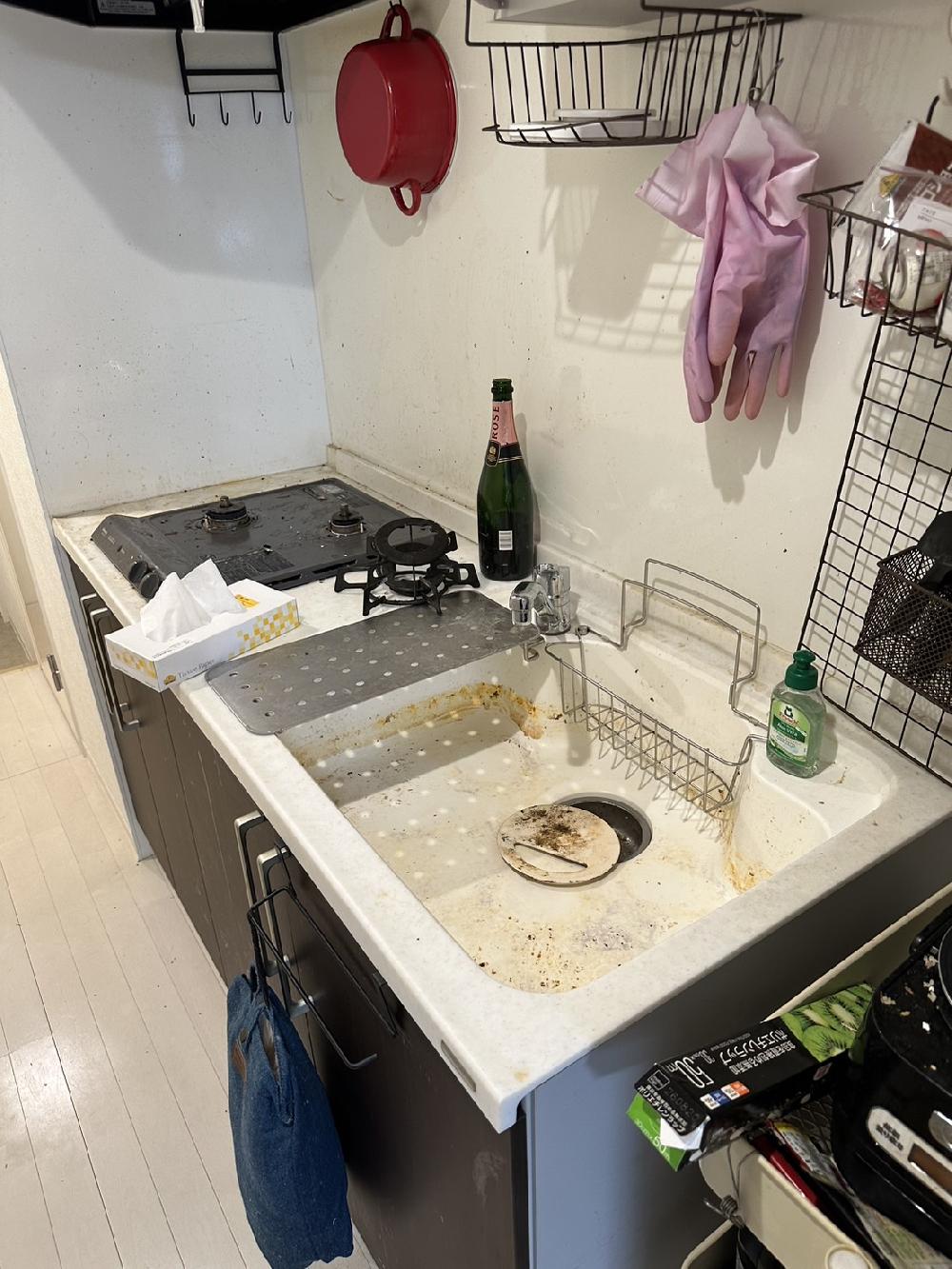 【東京都港区】1LDKのゴミ屋敷片付け　生ゴミの分別や生活ゴミの撤去を6時間で完了