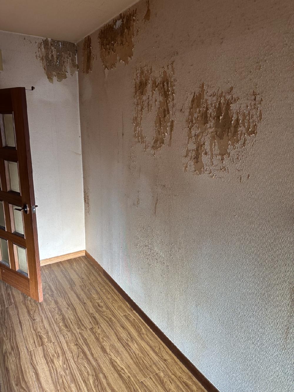 【ゴミ屋敷(猫屋敷)片付け清掃作業】口コミサイトで比較されてからのご依頼をいただきました!江戸川区でゴミ屋敷片付作業です。